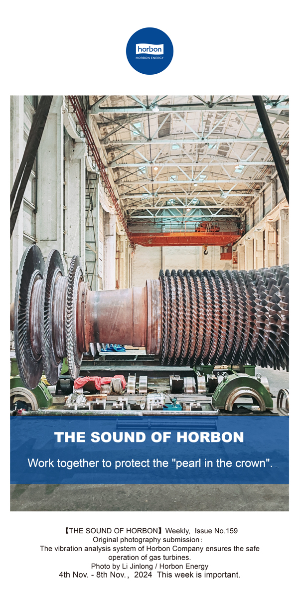 【和之声】合技协力，，，，，，守护“皇冠上的明珠”。。。-(总第159期）-2024.11.4-11-英文改小季度推送用.jpg