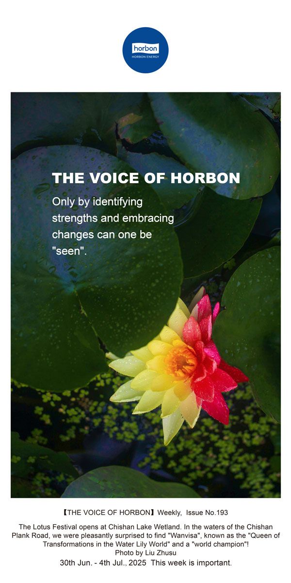 【和之声】找准优势、拥抱转变，，，才华“被望见”。。。。。(总第193期）--2025.6英文导出季度推送用.jpg