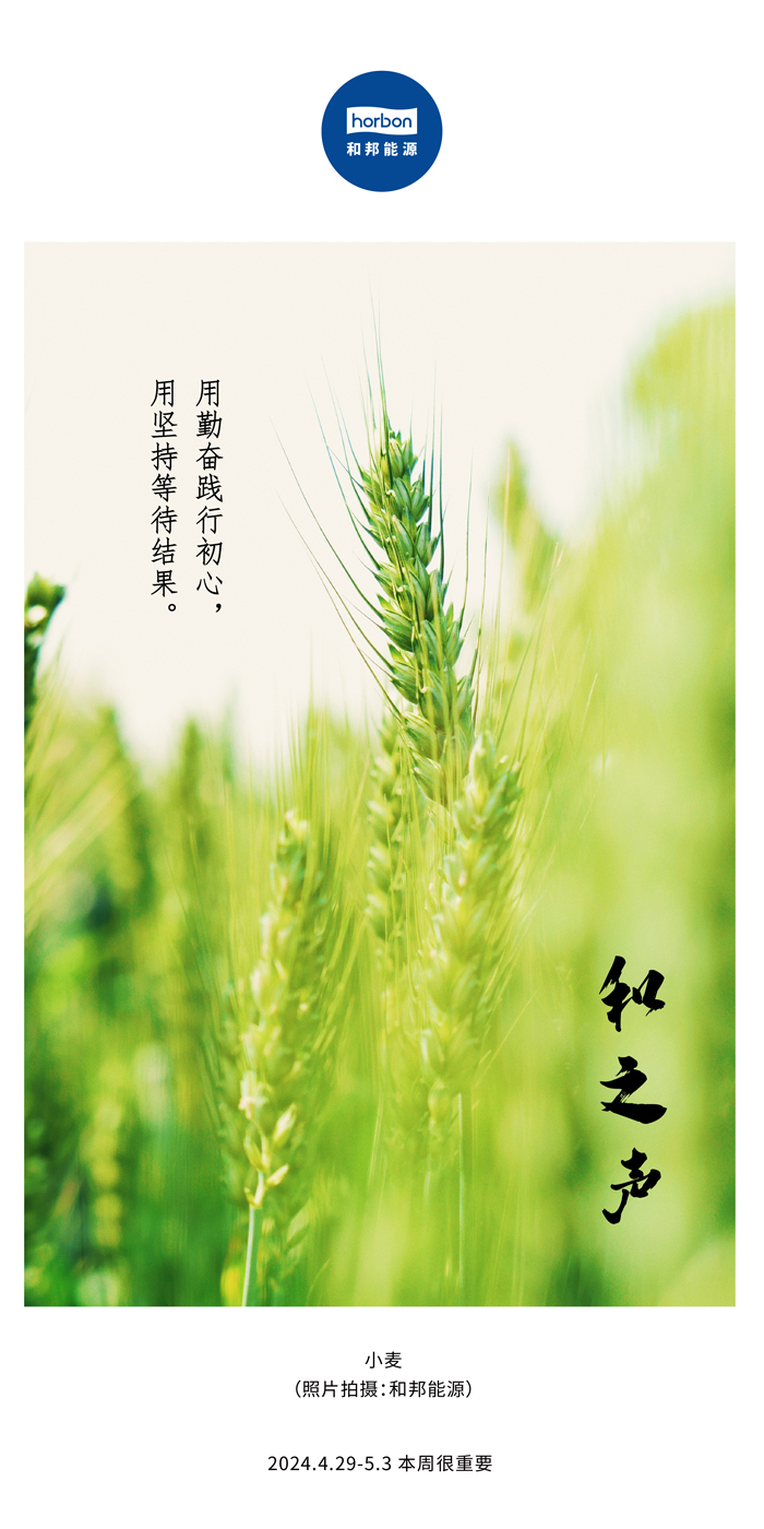【和之声】用勤劳践行初心，，用坚持期待效果。。。（总第132期）2024.4.29-5中文改小季度推送用.jpg