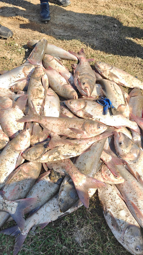 2024.11.23-【和之行】总要来场“冬捕”吧！。。。。ㄐ⊙┙谄惫び闾痢岸丁蓖沤ɑ疃┬挛排渫几男⊥011.jpg