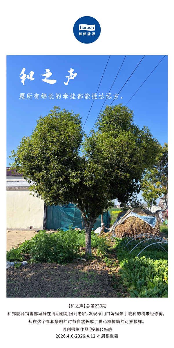 【和之声】愿所有绵长的悬念都能抵达远方。。。(总第233期）-2026.4.6中文导出季度推送用.jpg